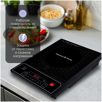 Детальное фото товара: Zigmund & Shtain ZIP-556