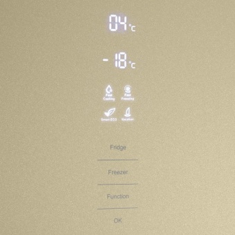 Детальное фото товара: Maunfeld MFF200NFBG