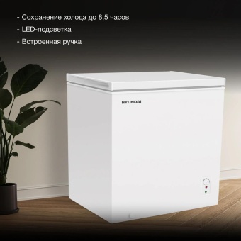 Детальное фото товара: Hyundai CH20081