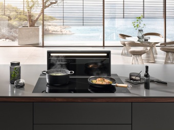 Детальное фото товара: Miele DAD 4941 Black Levantar