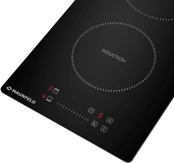 Детальное фото товара: Maunfeld AVI292SSTBK