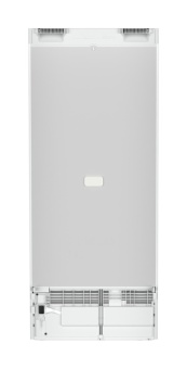 Детальное фото товара: Liebherr Rd 4600-22 001 Pure EasyFresh