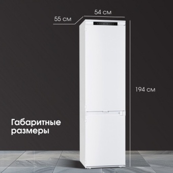 Детальное фото товара: Zigmund & Shtain BR 19 X