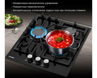 Детальное фото товара: Hyundai HHG 4333 BG