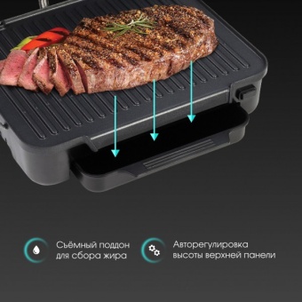 Детальное фото товара: Zigmund & Shtain Grillmeister ZEG-929