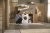 Детальное фото товара: Miele WED395WPS