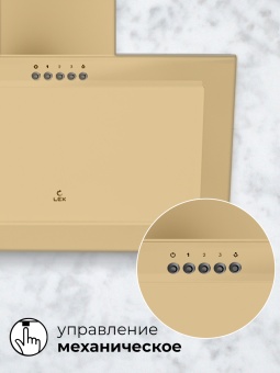 Детальное фото товара: LEX Mio 600 Ivory