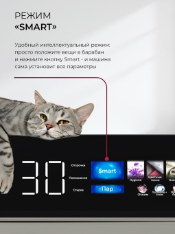 Детальное фото товара: LEX LDM12GrBlThD