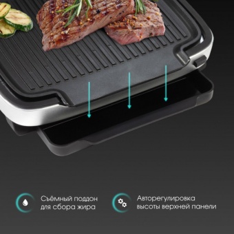 Детальное фото товара: Zigmund & Shtain Grillmeister ZEG-930