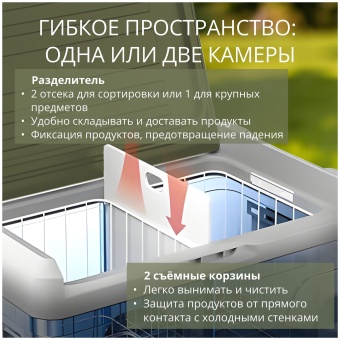 Детальное фото товара: Tesler CCF-3501
