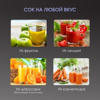 Детальное фото товара: Zigmund & Shtain EJ-755