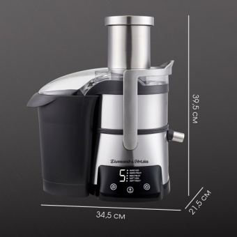 Детальное фото товара: Zigmund & Shtain EJ-755