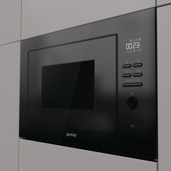 Детальное фото товара: Gorenje BM251M2BG