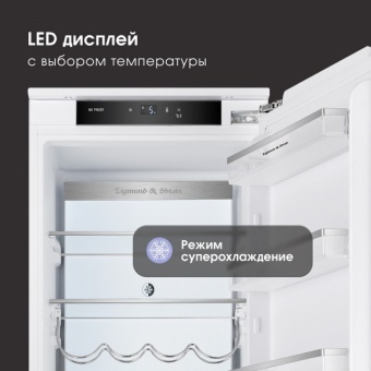 Детальное фото товара: Zigmund & Shtain BR 06 X