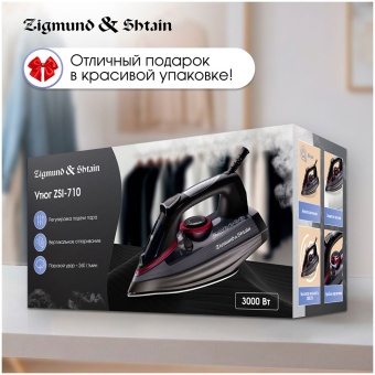 Детальное фото товара: Zigmund & Shtain ZSI-710