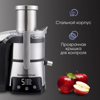 Детальное фото товара: Zigmund & Shtain EJ-755