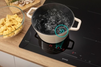 Детальное фото товара: Gorenje ISC645BSC