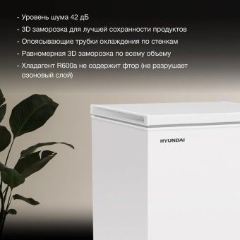 Детальное фото товара: Hyundai CH20081