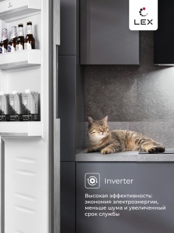 Детальное фото товара: LEX LSB458StGIDBI