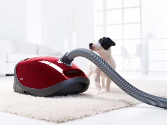 Детальное фото товара: Miele SGEA3 Complete C3 Cat&Dog ежевичный красный