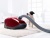 Детальное фото товара: Miele SGEA3 Complete C3 Cat&Dog ежевичный красный