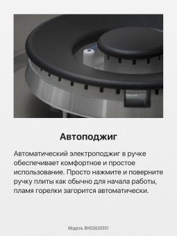 Детальное фото товара: Hansa BHGS630301