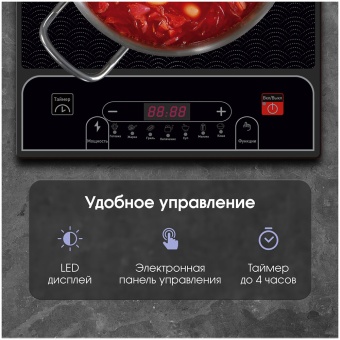 Детальное фото товара: Zigmund & Shtain ZIP-556