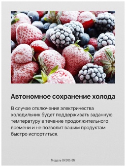 Детальное фото товара: Hansa BK306.0N