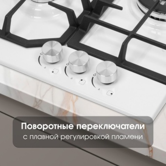 Детальное фото товара: Zigmund & Shtain G 22.4 W