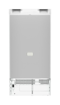 Детальное фото товара: Liebherr Rd 4200-22 001 Pure EasyFresh