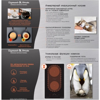 Детальное фото товара: Zigmund & Shtain CI 29.3 B