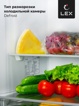 Детальное фото товара: LEX RBI 201 NF