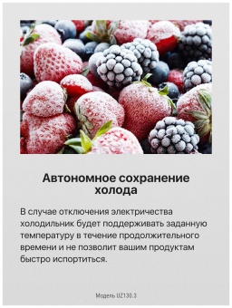 Детальное фото товара: Hansa UZ130.3