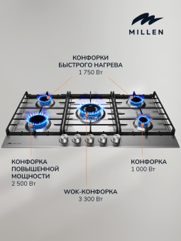 Детальное фото товара: MILLEN MGH 901 IX