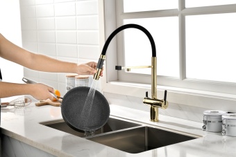 Детальное фото товара: Paulmark GRAVITY, смеситель, светлое золото, черный шланг