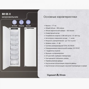 Детальное фото товара: Zigmund & Shtain BR 05 X