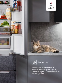 Детальное фото товара: LEX LFD424StGIDBI