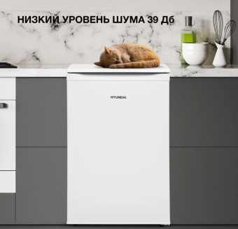 Детальное фото товара: Hyundai CO15051A белый