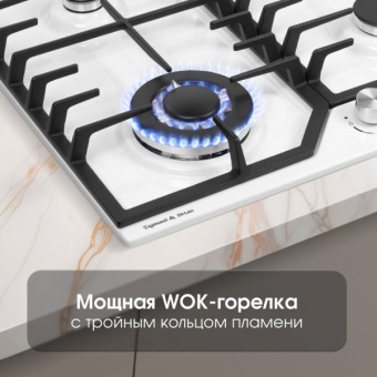 Детальное фото товара: Zigmund & Shtain G 22.6 W