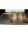 Детальное фото товара: Seaman Barcelone SSL-5382-GS (Gold Satin, PVD + Patina)