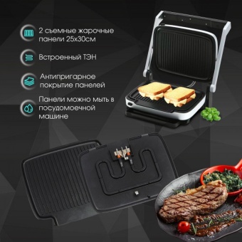 Детальное фото товара: Zigmund & Shtain Grillmeister ZEG-930