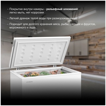 Детальное фото товара: Hyundai CH20031