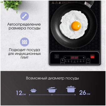 Детальное фото товара: Zigmund & Shtain ZIP-556