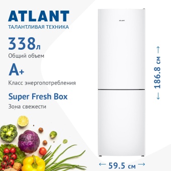 Детальное фото товара: Атлант 4621-101