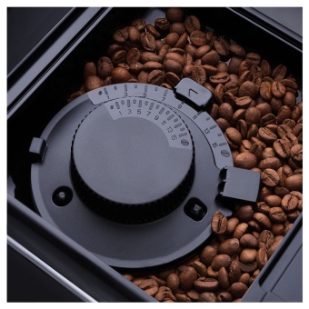 Детальное фото товара: Korting KACM 2002 Andante