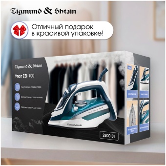 Детальное фото товара: Zigmund & Shtain ZSI-700