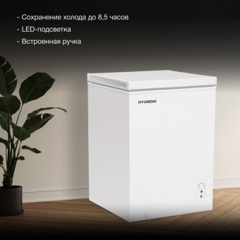 Детальное фото товара: Hyundai CH10081