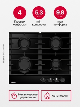 Детальное фото товара: Hansa BHGS630301