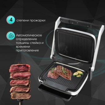 Детальное фото товара: Zigmund & Shtain Grillmeister ZEG-930