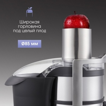 Детальное фото товара: Zigmund & Shtain EJ-755